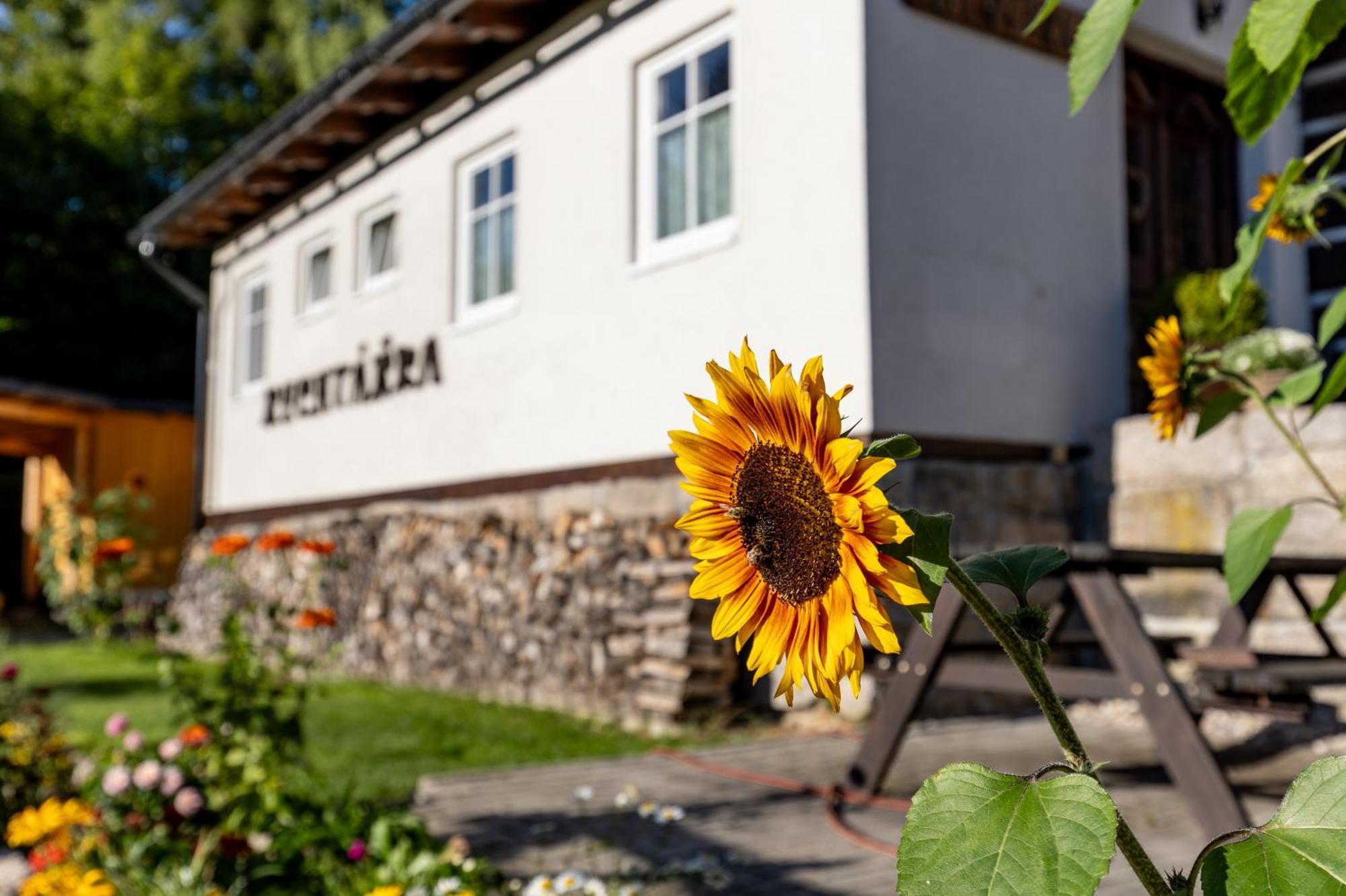 Chata Rychtářka Janov nad Nisou Exterior foto